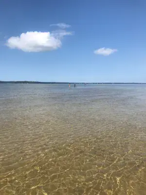 Etang de Cazaux et de Sanguinet, lieu dit "Mayotte" - photo 1