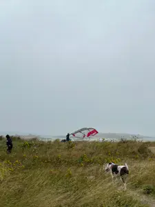 Les dunes de Sainte-Marguerite - Landéda - photo 3