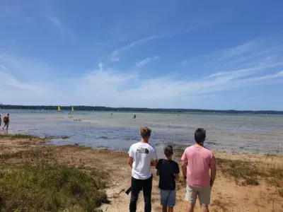 Etang de Cazaux et de Sanguinet, lieu dit "Mayotte" - photo 3
