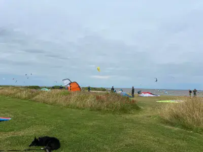 Hvide Sande North - Ringkøbing Fjord - photo 9