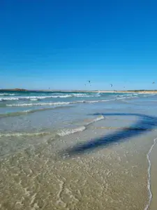 La Torche  - photo 3