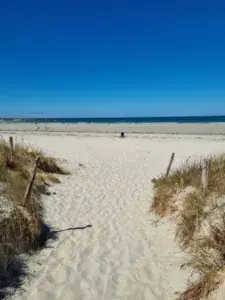 La Torche  - photo 2