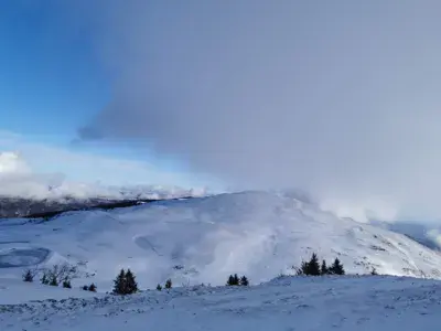 Crozet Lelex - photo 1