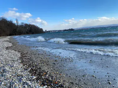 Tolochenaz - Stand de tir - photo 1